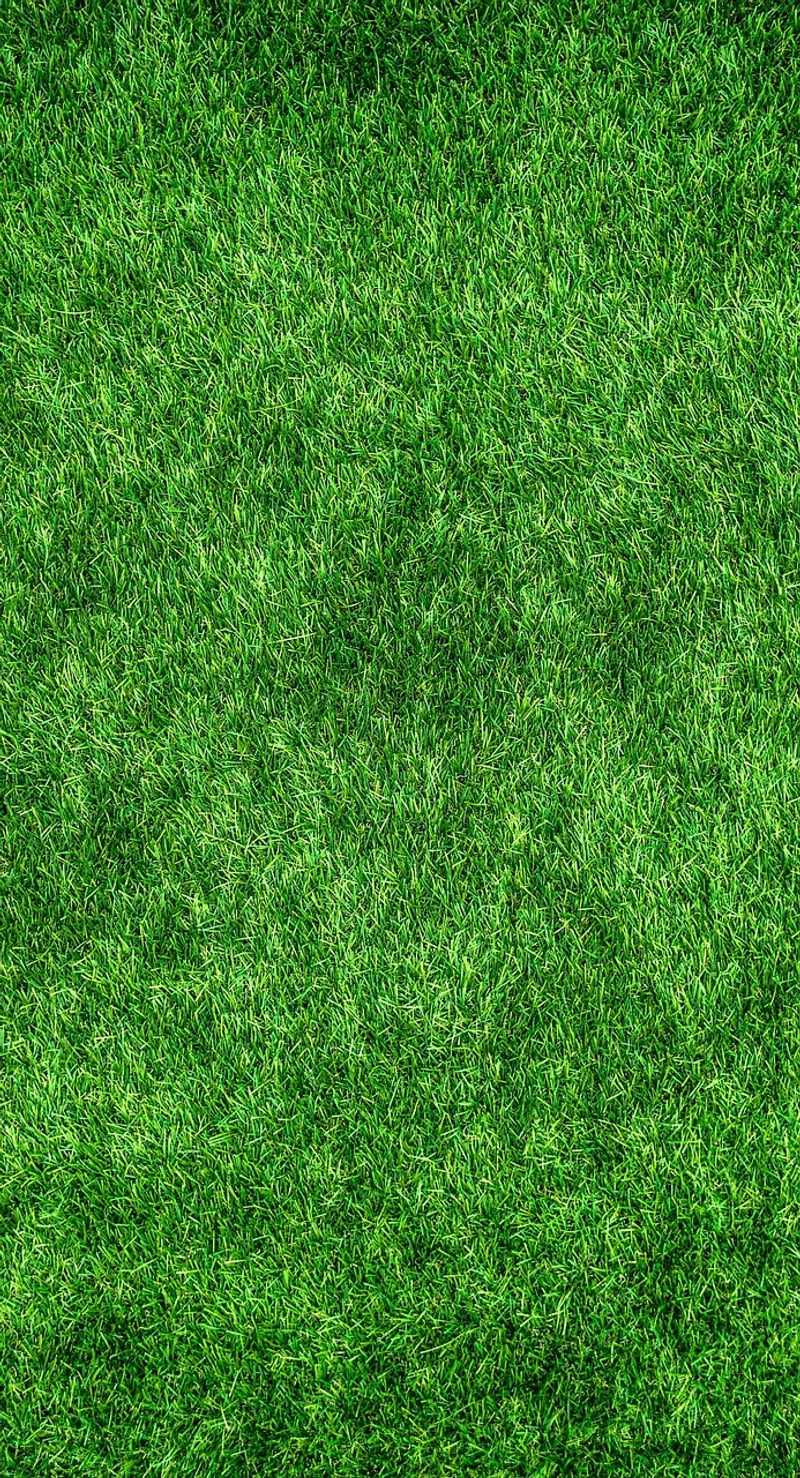 Eco-Friendly Interiors