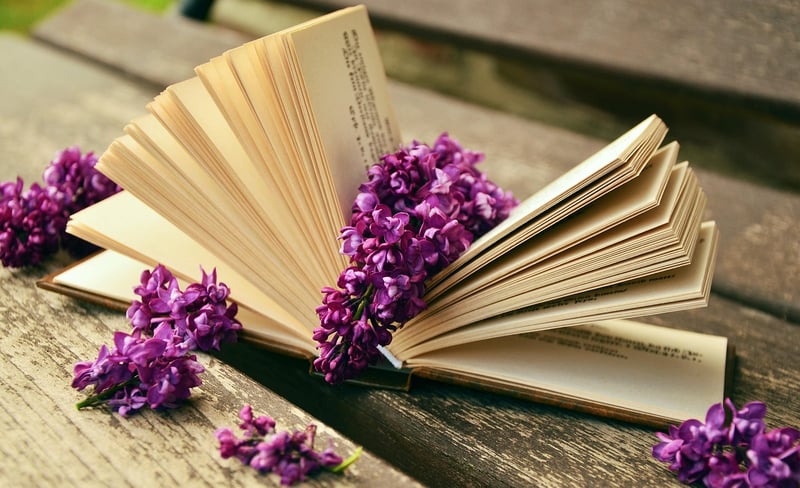 Vintage Upcycled Books